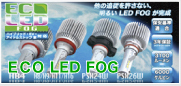 ECO LED FOG ACR